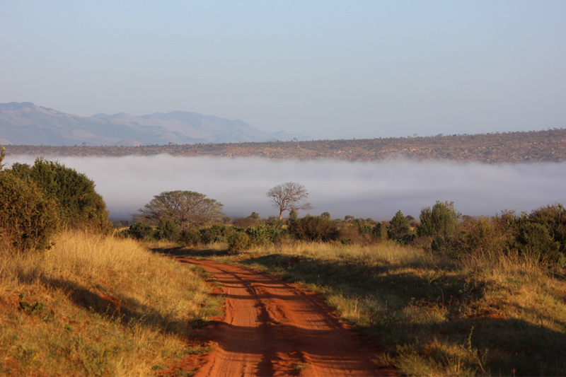 Tsavo region in Kenya