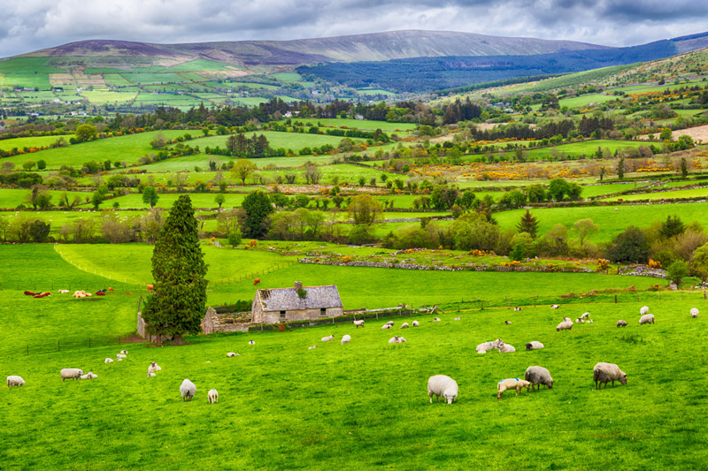 Irish countryside