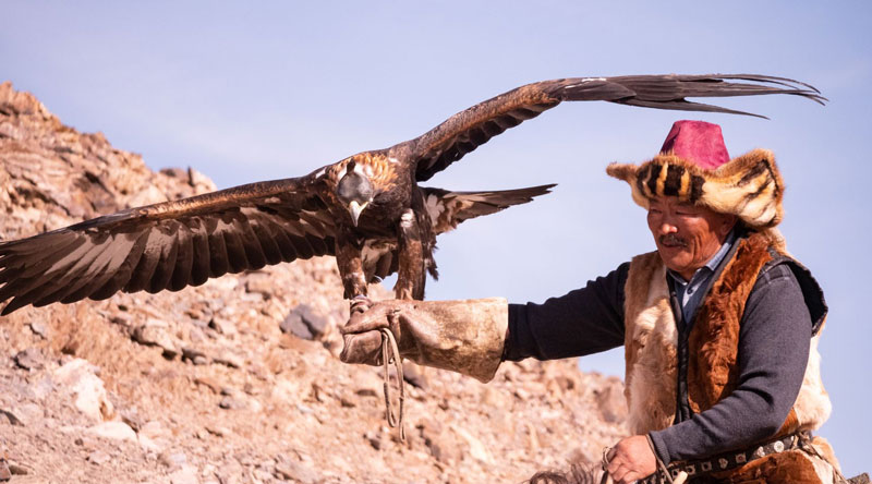 Mongolian hunter with eagle - Image from Canva -- Mongolia geography unit for kids