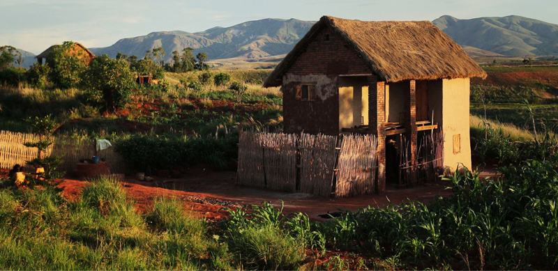 Traditional Malagasy house situated in the field. - Image from Canva.com
